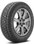 Nitto Nomad Grappler