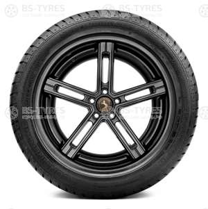 Continental ContiSportContact 2 245/45 R18 100W (2016)