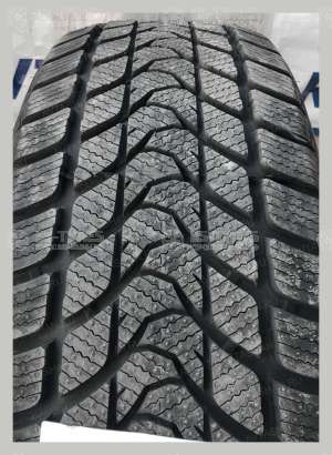 Delinte Winter WD1 245/50 R18 100H