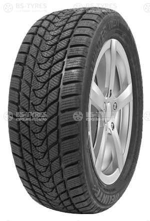 Delinte Winter WD1 245/50 R18 100H