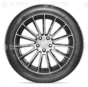 Doublestar DW02 205/60 R16 92S