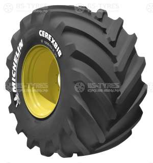CereXbib CFO