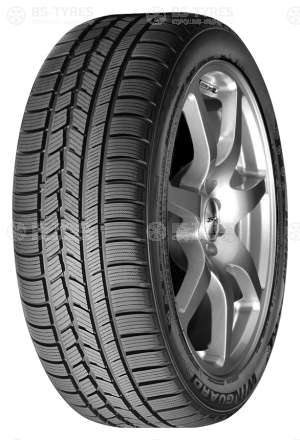Roadstone Winguard Sport 245/45 R19 102V