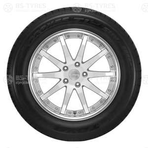 Toyo Proxes T1 Sport 245/45 R19 102Y