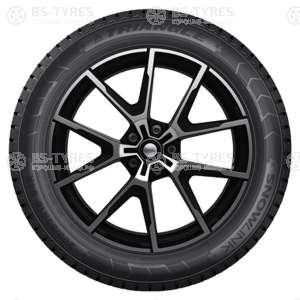 Triangle Snow PL01 215/55 R17 98R