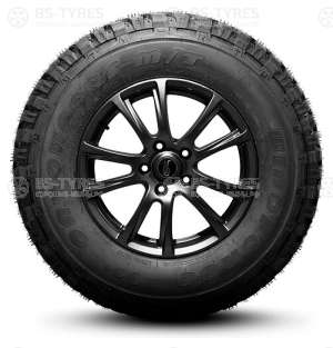 Catchfors M/T